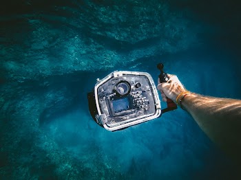 Diving in the sea. Original | Free Photo - rawpixel