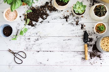 DIY gardening table flat lay with potted… | Free stock photo | High Resolution image