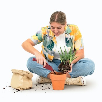 DIY repotting plant lover hobby | Free stock photo | High Resolution image