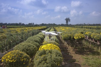 Dji Phantom Drone on Air