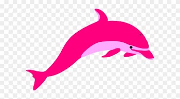 Dlp Clip Art At Clker Dlp Clipart - Amazon River Dolphin Drawing