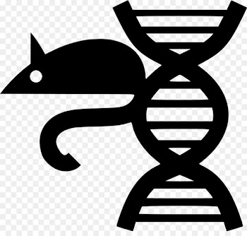 DNA Biochemistry Genetics Molecule TMPRSS2 - genetics pattern 