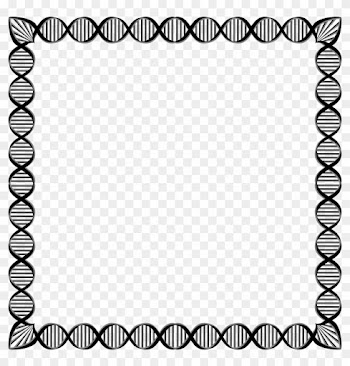 Dna - Biology Borders