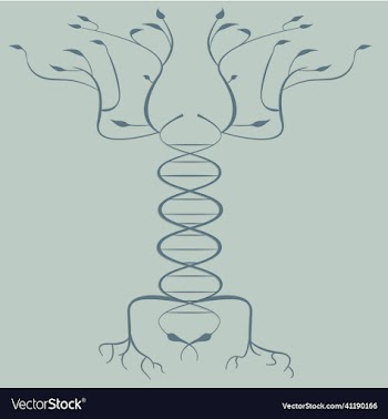 dna blank tree
