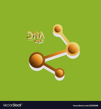 Dna design over white background vector image