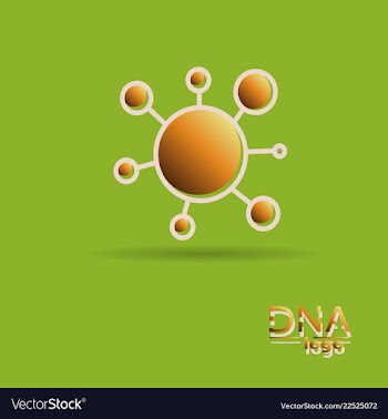 Dna design over white background vector image