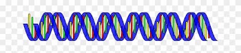 Dna Double Helix Science Rna Medical Biolo - Base Editing Dna