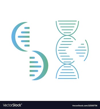 Dna genetic sign elements and icons collection vector image