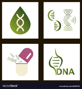 Dna genetic sign elements and icons collection vector image