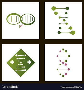 Dna genetic sign elements and icons collection vector image