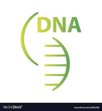 Dna genetic sign elements and icons collection vector image