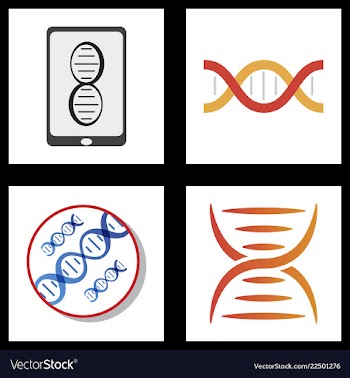 Dna genetic sign elements and icons collection vector image