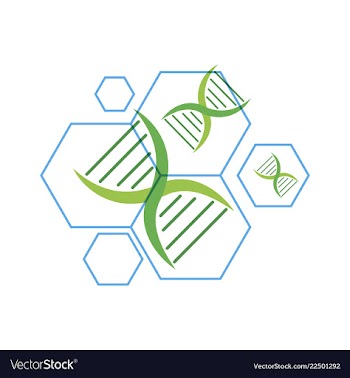 Dna genetic sign elements and icons collection vector image