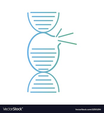 Dna genetic sign elements and icons collection vector image