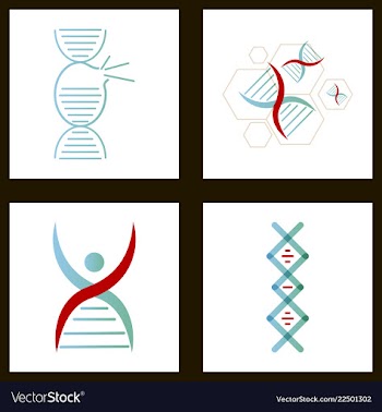 Dna genetic sign elements and icons collection vector image