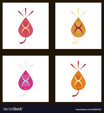 Dna genetic sign elements and icons collection vector image