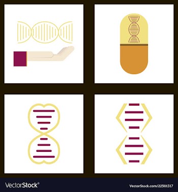 Dna genetic sign elements and icons collection vector image