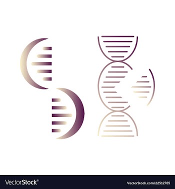 Dna genetic sign elements and icons collection vector image