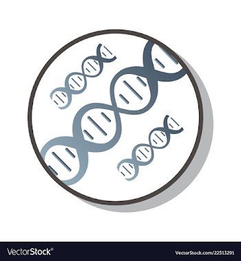 Dna genetic sign elements and icons collection vector image