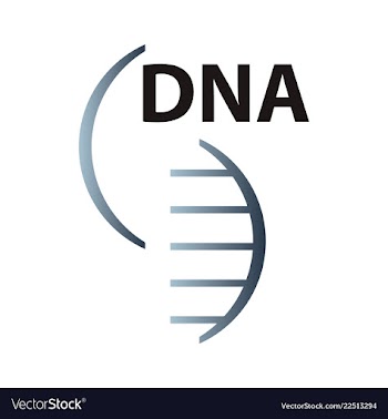 Dna genetic sign elements and icons collection vector image
