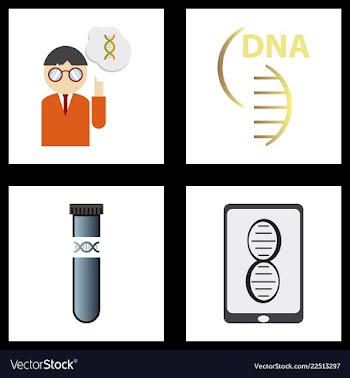 Dna genetic sign elements and icons collection vector image