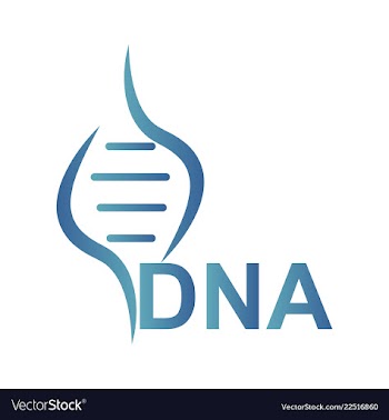 Dna genetic sign elements and icons collection vector image
