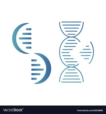 Dna genetic sign elements and icons collection vector image