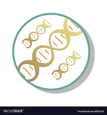 Dna genetic sign elements and icons collection vector image