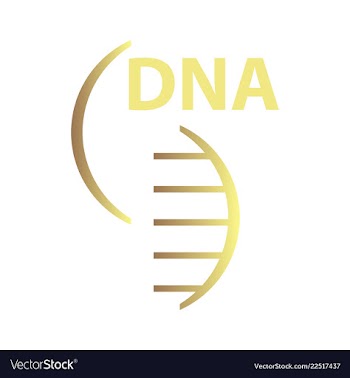 Dna genetic sign elements and icons collection vector image