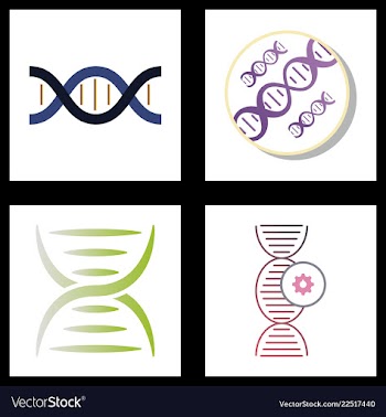 Dna genetic sign elements and icons collection vector image