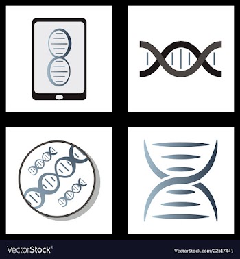 Dna genetic sign elements and icons collection vector image