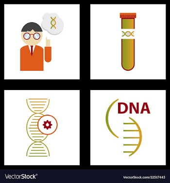 Dna genetic sign elements and icons collection vector image