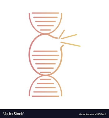 Dna genetic sign elements and icons collection vector image