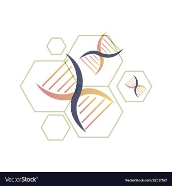 Dna genetic sign elements and icons collection vector image