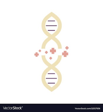 Dna genetic sign elements and icons collection vector image