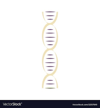 Dna genetic sign elements and icons collection vector image
