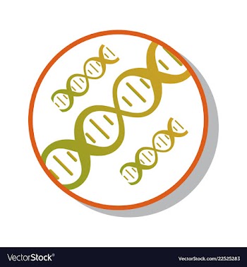Dna genetic sign elements and icons collection vector image