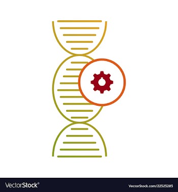 Dna genetic sign elements and icons collection vector image