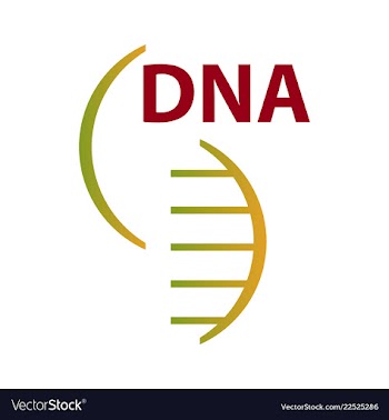 Dna genetic sign elements and icons collection vector image
