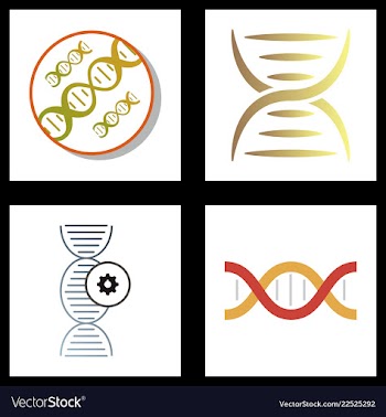 Dna genetic sign elements and icons collection vector image