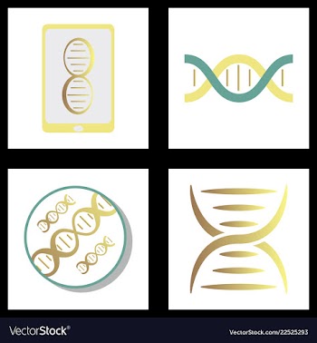 Dna genetic sign elements and icons collection vector image