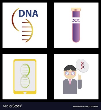 Dna genetic sign elements and icons collection vector image