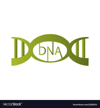 Dna genetic sign elements and icons collection vector image