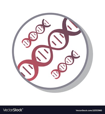 Dna genetic sign elements and icons collection vector image