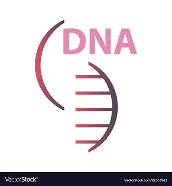 Dna genetic sign elements and icons collection vector image