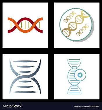 Dna genetic sign elements and icons collection vector image