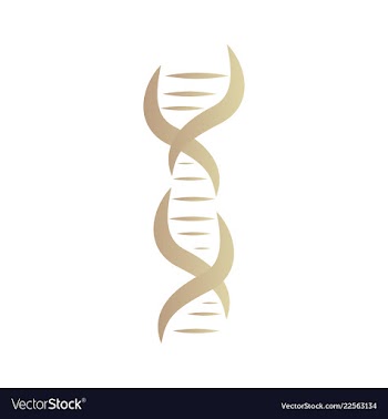 Dna genetic sign elements and icons collection vector image