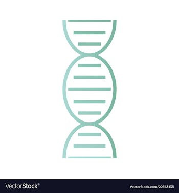 Dna genetic sign elements and icons collection vector image