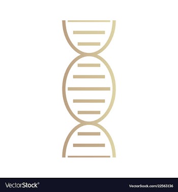 Dna genetic sign elements and icons collection vector image