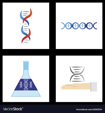 Dna genetic sign elements and icons collection vector image